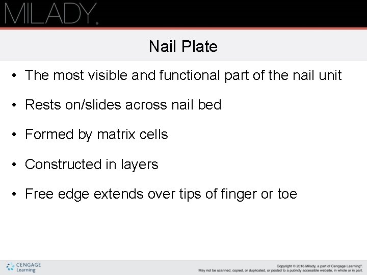 Nail Plate • The most visible and functional part of the nail unit • Nail Plate • The most visible and functional part of the nail unit •