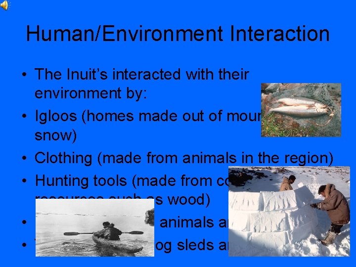 Human/Environment Interaction • The Inuit’s interacted with their environment by: • Igloos (homes made