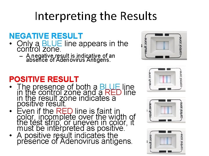 Interpreting the Results NEGATIVE RESULT • Only a BLUE line appears in the control