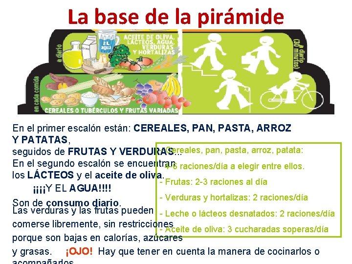 La base de la pirámide En el primer escalón están: CEREALES, PAN, PASTA, ARROZ