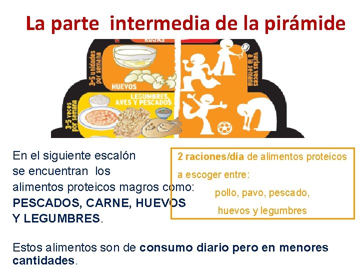 La parte intermedia de la pirámide En el siguiente escalón 2 raciones/día de alimentos