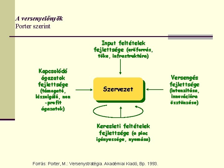 A versenyelőnyök Porter szerint Input feltételek fejlettsége (erőforrás, tőke, infrastruktúra) Kapcsolódó ágazatok fejlettsége (támogató,