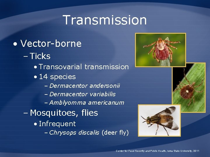 Transmission • Vector-borne – Ticks • Transovarial transmission • 14 species – Dermacentor andersonii