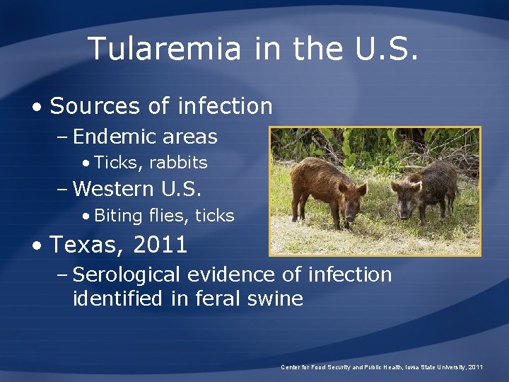 Tularemia in the U. S. • Sources of infection – Endemic areas • Ticks,