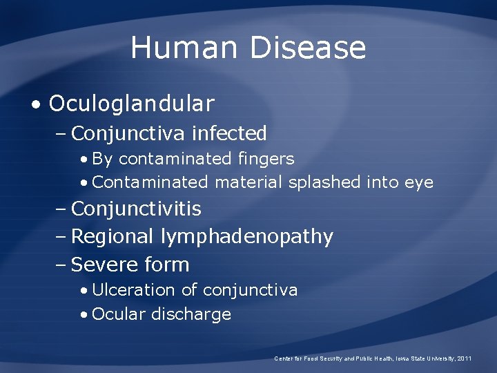 Human Disease • Oculoglandular – Conjunctiva infected • By contaminated fingers • Contaminated material