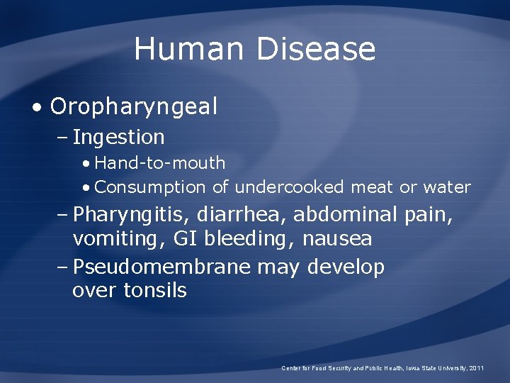 Human Disease • Oropharyngeal – Ingestion • Hand-to-mouth • Consumption of undercooked meat or