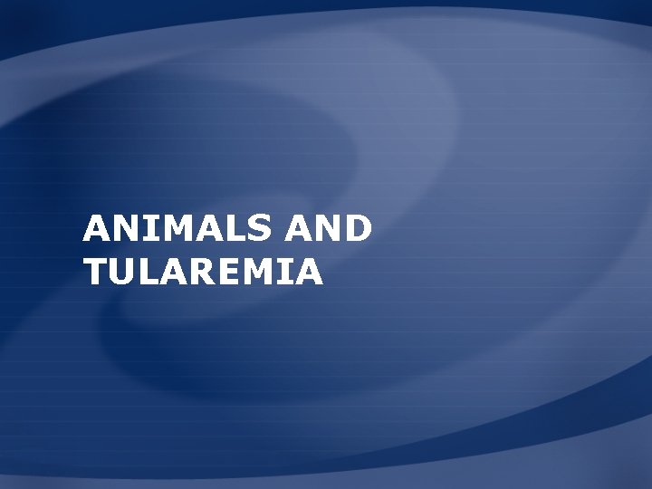 ANIMALS AND TULAREMIA 