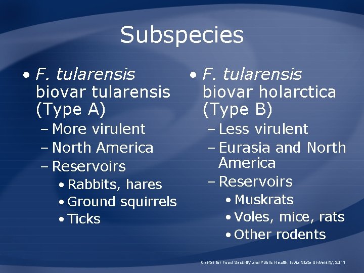 Subspecies • F. tularensis biovar holarctica (Type A) (Type B) – More virulent –