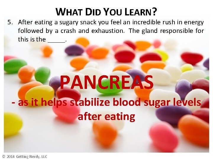 WHAT DID YOU LEARN? 5. After eating a sugary snack you feel an incredible