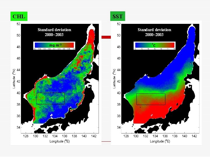 SST CHL Standard deviation 2000~2003 