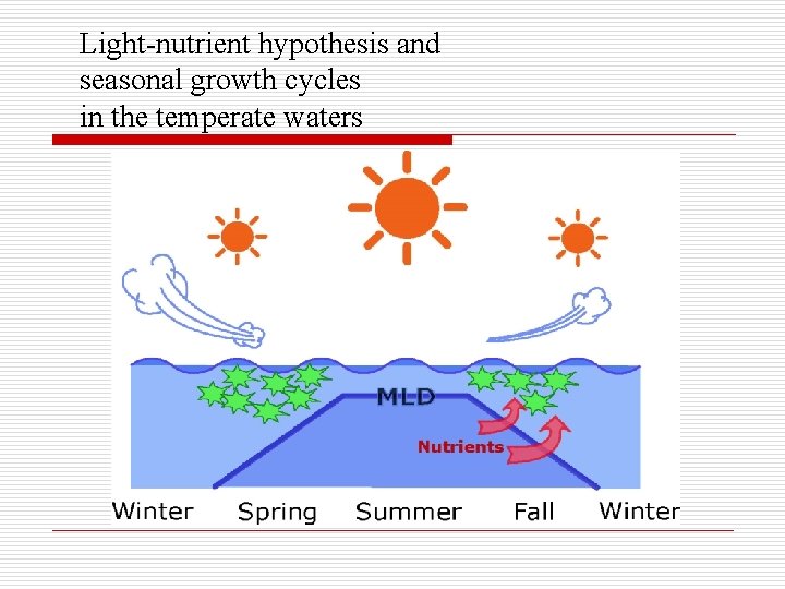 Light-nutrient hypothesis and seasonal growth cycles in the temperate waters 