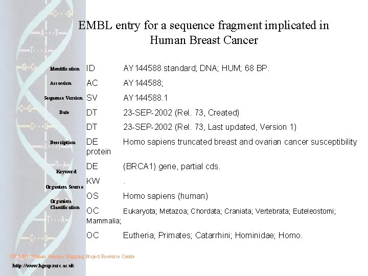 EMBL entry for a sequence fragment implicated in Human Breast Cancer Identification ID AY EMBL entry for a sequence fragment implicated in Human Breast Cancer Identification ID AY