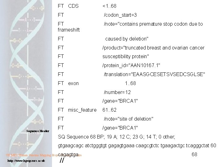 FT CDS <1. . 68 FT /codon_start=3 FT frameshift /note="contains premature stop codon due FT CDS <1. . 68 FT /codon_start=3 FT frameshift /note="contains premature stop codon due