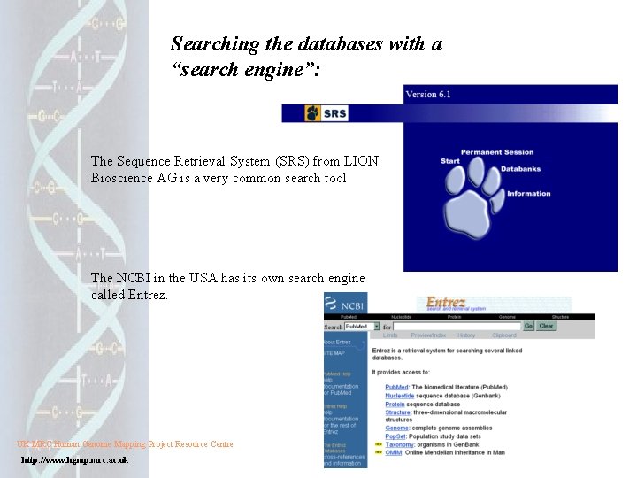 Searching the databases with a “search engine”: The Sequence Retrieval System (SRS) from LION Searching the databases with a “search engine”: The Sequence Retrieval System (SRS) from LION