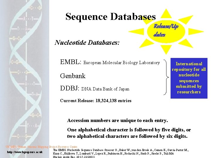 Sequence Databases Nucleotide Databases: Release/Up dates EMBL: European Molecular Biology Laboratory Genbank DDBJ: DNA Sequence Databases Nucleotide Databases: Release/Up dates EMBL: European Molecular Biology Laboratory Genbank DDBJ: DNA