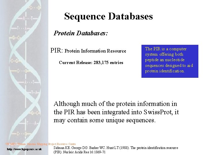 Sequence Databases Protein Databases: PIR: Protein Information Resource Current Release: 283, 175 entries The Sequence Databases Protein Databases: PIR: Protein Information Resource Current Release: 283, 175 entries The
