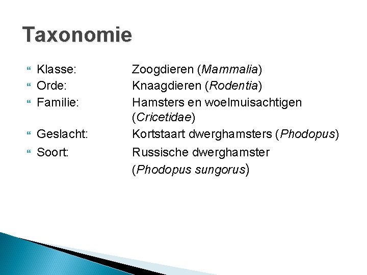 Taxonomie Klasse: Orde: Familie: Geslacht: Soort: Zoogdieren (Mammalia) Knaagdieren (Rodentia) Hamsters en woelmuisachtigen (Cricetidae)