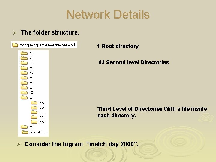 Network Details Ø The folder structure. 1 Root directory 63 Second level Directories Third