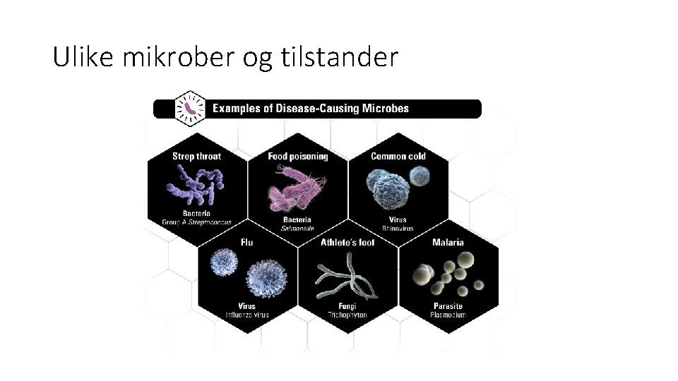 Ulike mikrober og tilstander 