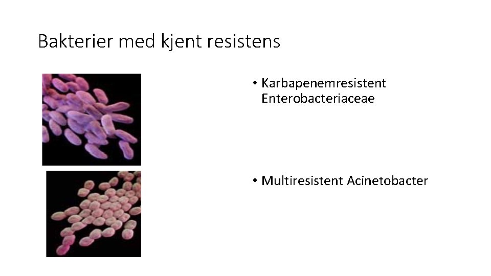 Bakterier med kjent resistens • Karbapenemresistent Enterobacteriaceae • Multiresistent Acinetobacter 