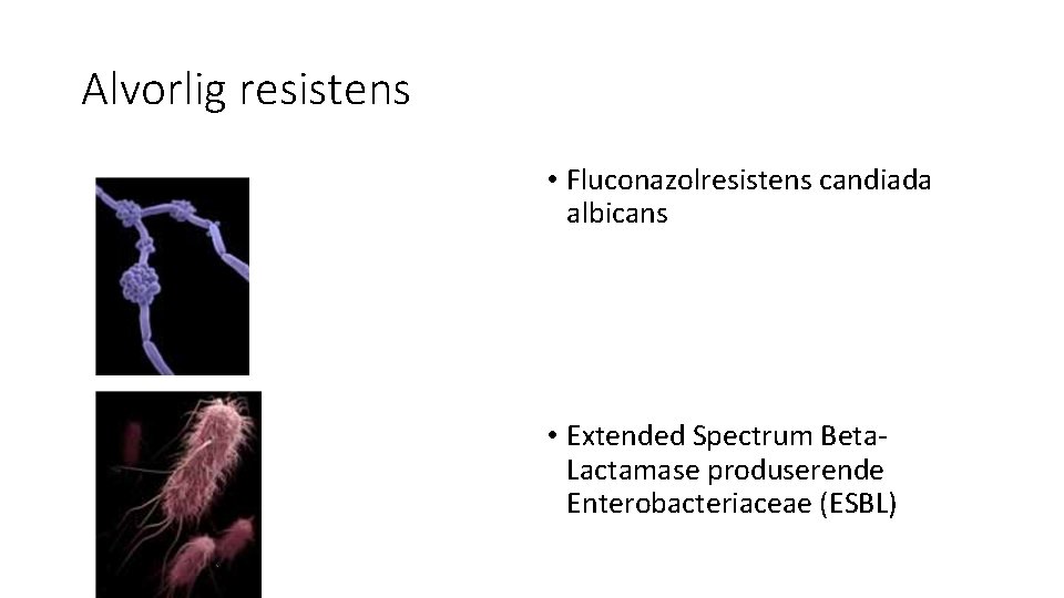 Alvorlig resistens • Fluconazolresistens candiada albicans • Extended Spectrum Beta. Lactamase produserende Enterobacteriaceae (ESBL)