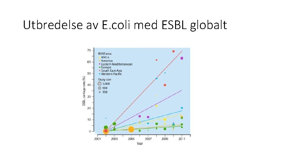 Utbredelse av E. coli med ESBL globalt 