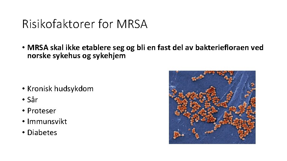 Risikofaktorer for MRSA • MRSA skal ikke etablere seg og bli en fast del
