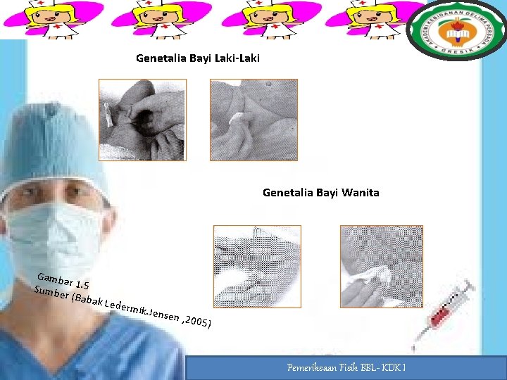 Genetalia Bayi Laki-Laki Genetalia Bayi Wanita Gamba r Sumbe 1. 5 r (Baba k