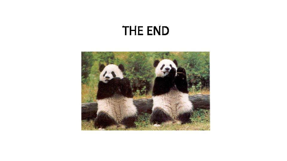 THE END 