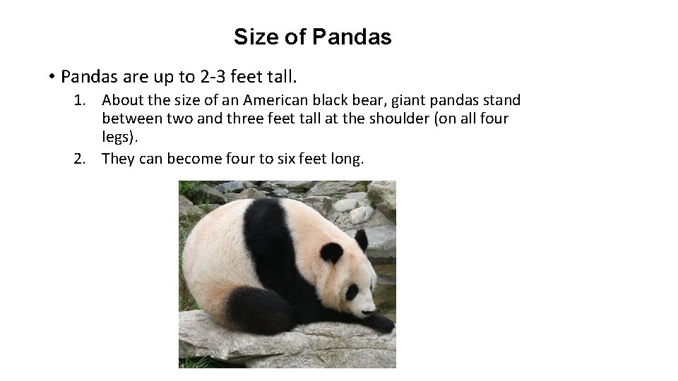 Size of Pandas • Pandas are up to 2 -3 feet tall. 1. About