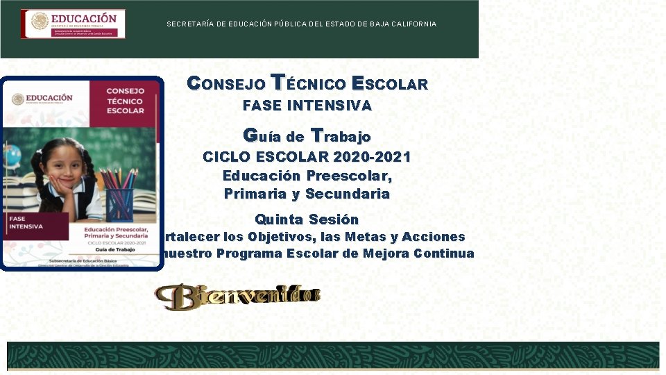 SECRETARÍA DE EDUCACIÓN PÚBLICA DEL ESTADO DE BAJA CALIFORNIA CONSEJO TÉCNICO ESCOLAR FASE INTENSIVA