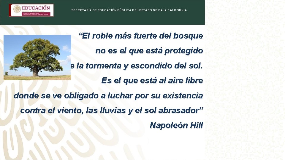 SECRETARÍA DE EDUCACIÓN PÚBLICA DEL ESTADO DE BAJA CALIFORNIA “El roble más fuerte del