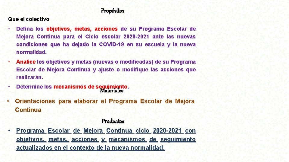 Propo sitos Que el colectivo • Defina los objetivos, metas, acciones de su Programa