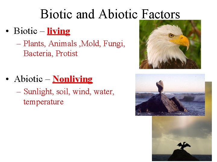 Biotic and Abiotic Factors • Biotic – living – Plants, Animals , Mold, Fungi,