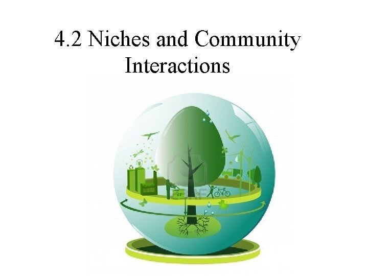 4. 2 Niches and Community Interactions 