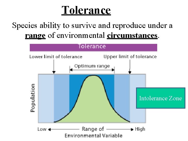 Tolerance Species ability to survive and reproduce under a range of environmental circumstances. Intolerance