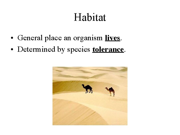 Habitat • General place an organism lives. • Determined by species tolerance. 