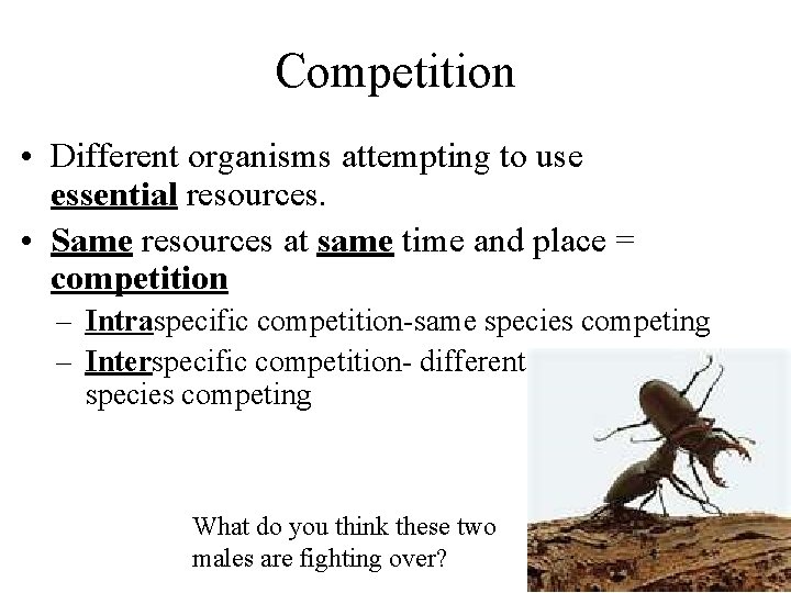 Competition • Different organisms attempting to use essential resources. • Same resources at same