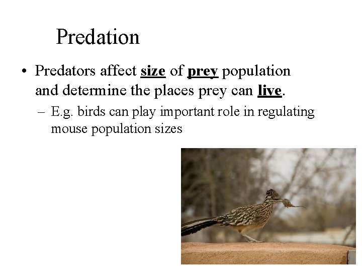 Predation • Predators affect size of prey population and determine the places prey can