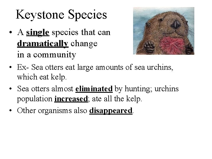 Keystone Species • A single species that can dramatically change in a community •