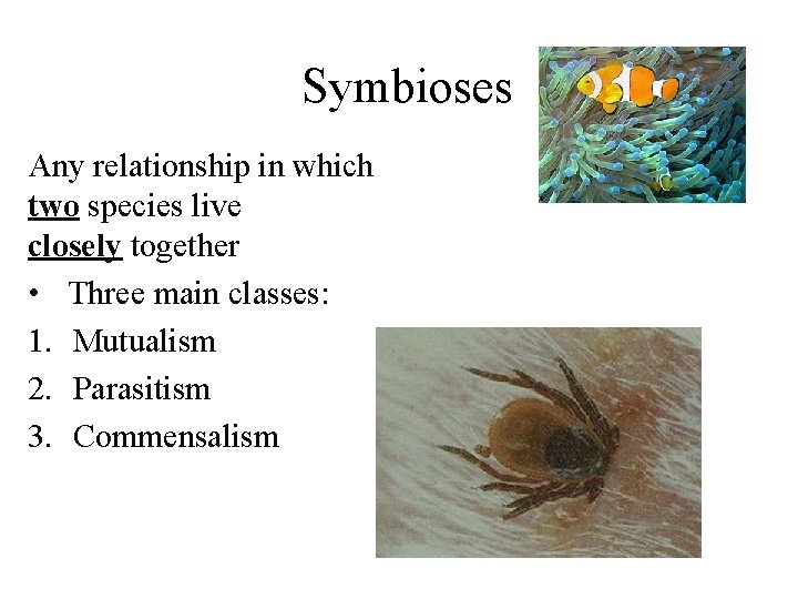 Symbioses Any relationship in which two species live closely together • Three main classes: