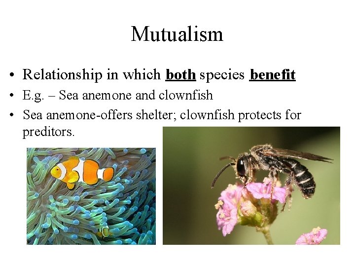 Mutualism • Relationship in which both species benefit • E. g. – Sea anemone