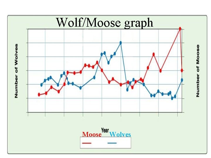 Wolf/Moose graph Moose Wolves 