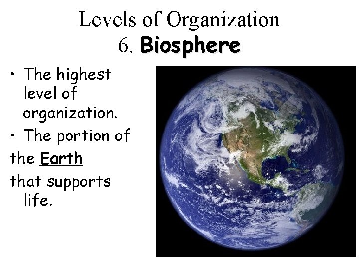 Levels of Organization 6. Biosphere • The highest level of organization. • The portion