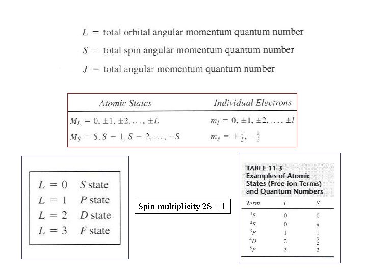 Spin multiplicity 2 S + 1 