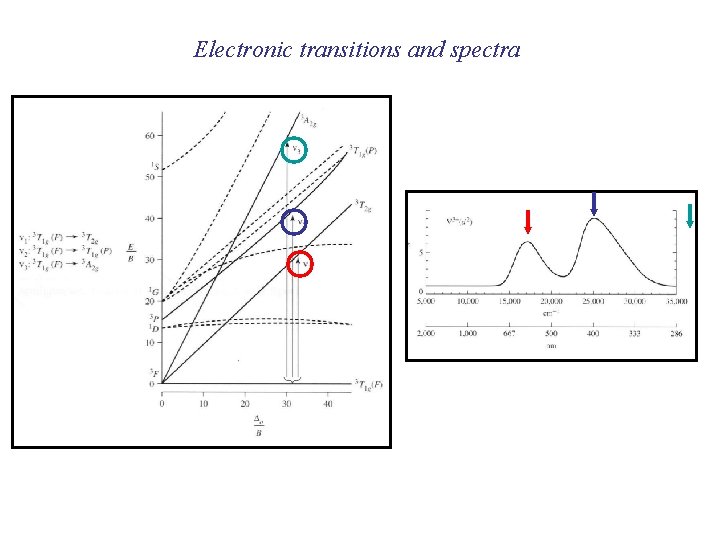 Electronic transitions and spectra 