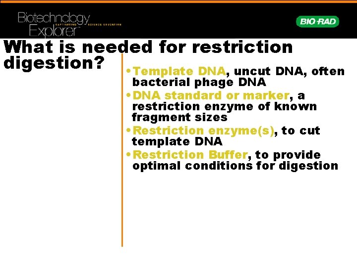 Investigation 9 BIOTECHNOLOGY RESTRICTION ENZYME ANALYSIS OF DNA