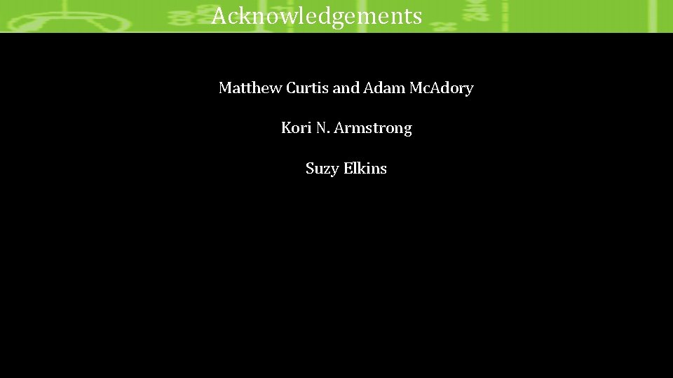 Acknowledgements Matthew Curtis and Adam Mc. Adory Kori N. Armstrong Suzy Elkins 