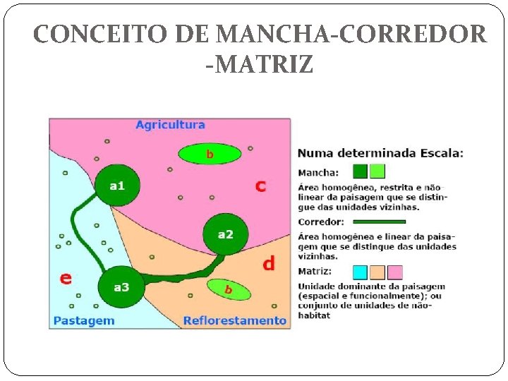 CONCEITO DE MANCHA-CORREDOR -MATRIZ 