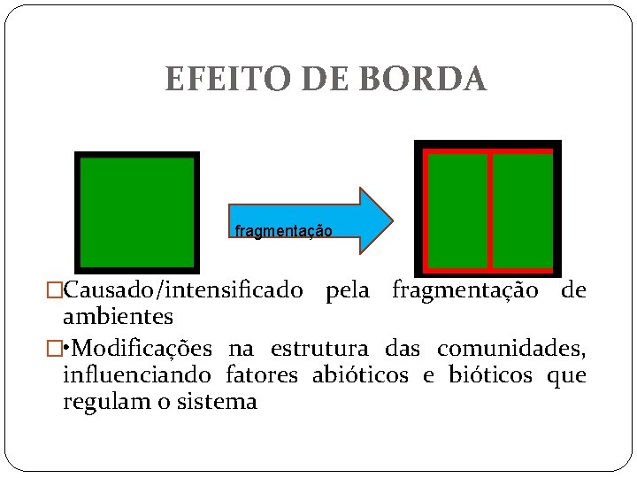 EFEITO DE BORDA fragmentação �Causado/intensificado pela fragmentação de ambientes � • Modificações na estrutura